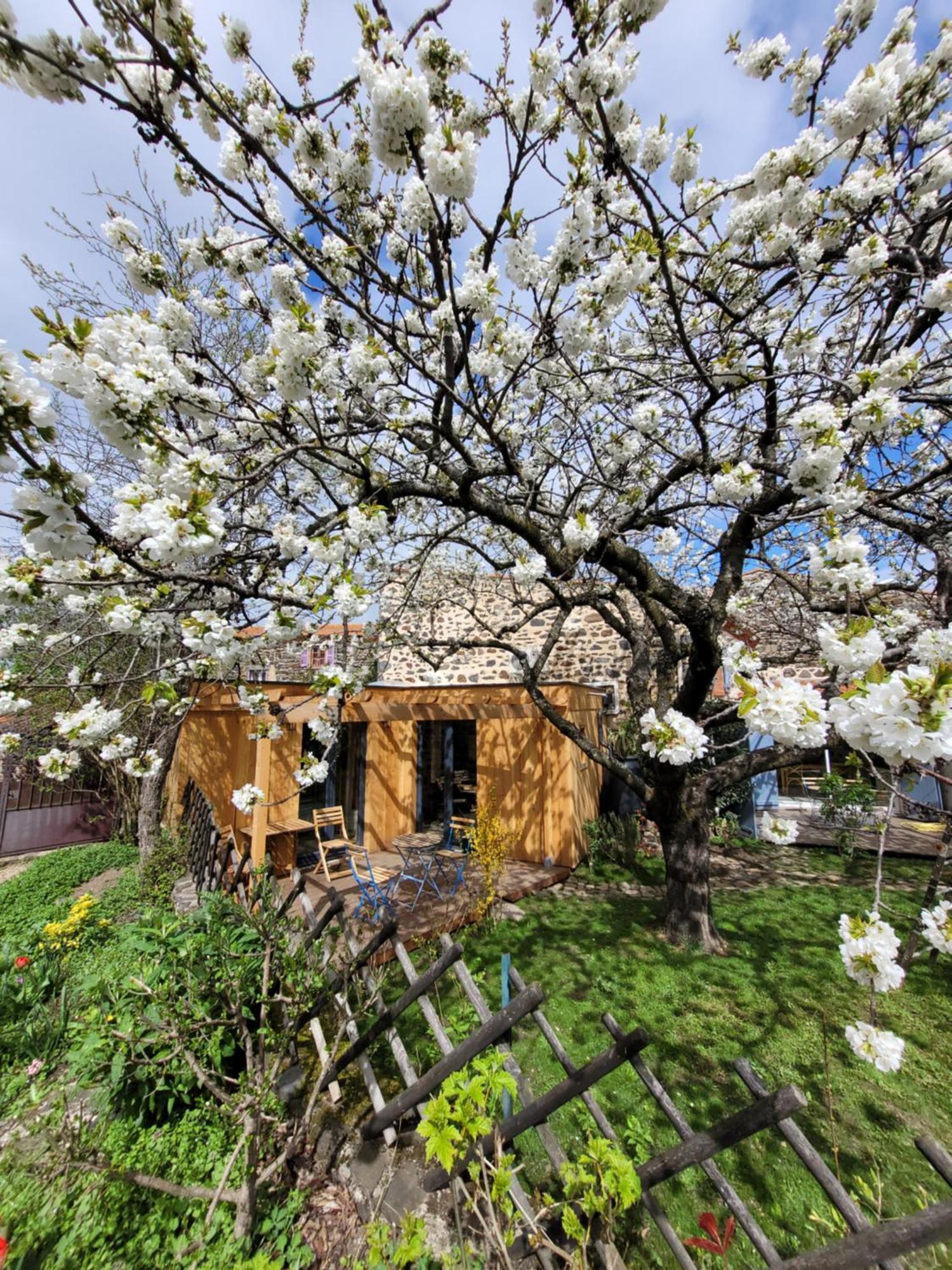 La Maisonnette Sous Le Cerisier Bergonne 外观 照片